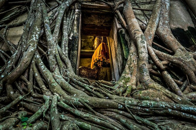 Amphawa Floating & Maeklong Railway Train Market (Small Group) - Boat rides and fireflies: an optional extra to assess carefully