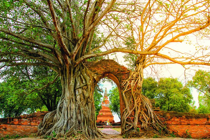 Ayutthaya Sunset Boat & UNESCO Temples: Multi-language private tour from Bangkok - Wat Chaiwatthanaram by the river