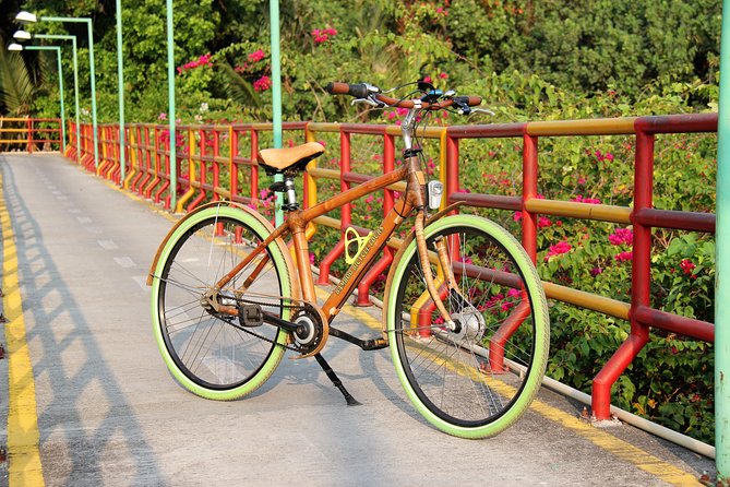 Bamboo Bicycle Tour in twilight: watch dancing Fireflies in Bangkok - Searching for fireflies by boat