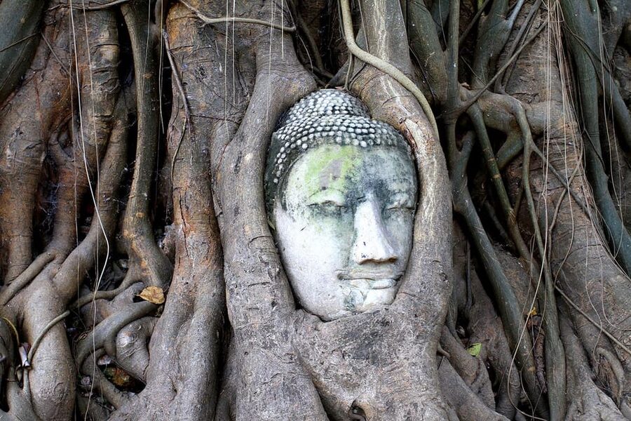 Bangkok: Audio guides for Bangkok, Ayutthaya & Chiang Mai - Chiang Rai: from the White Temple to the Golden Triangle