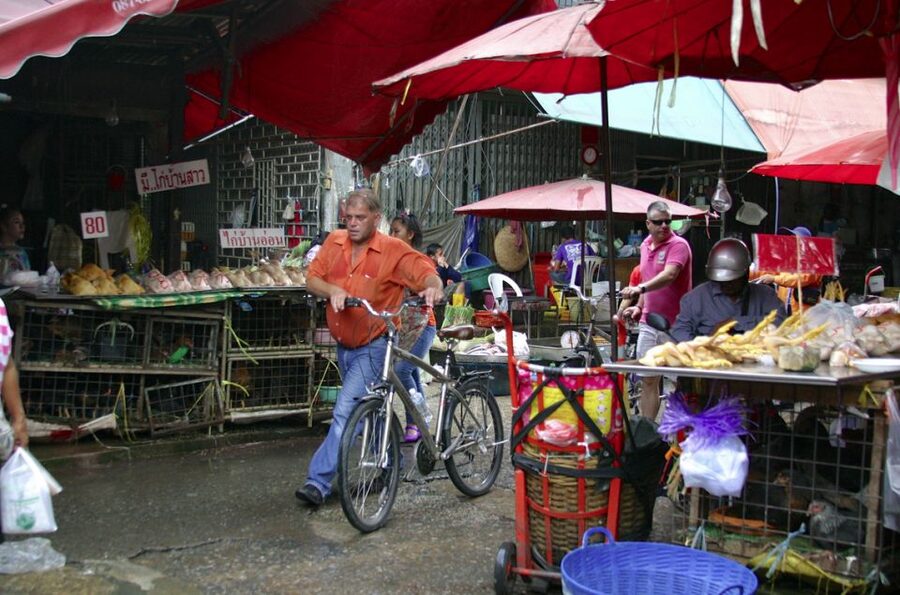 Bangkok: City Culture half-day Bike Tour - Lumpini Park and its famous monitor lizards