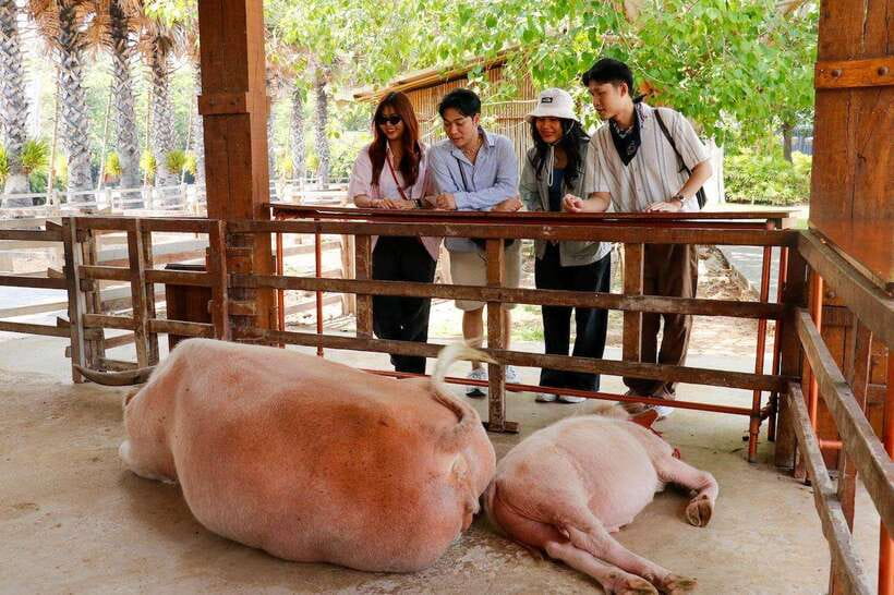 Bangkok: Damnoen Saduak and Train Market with Boat Ride - Key points at a glance