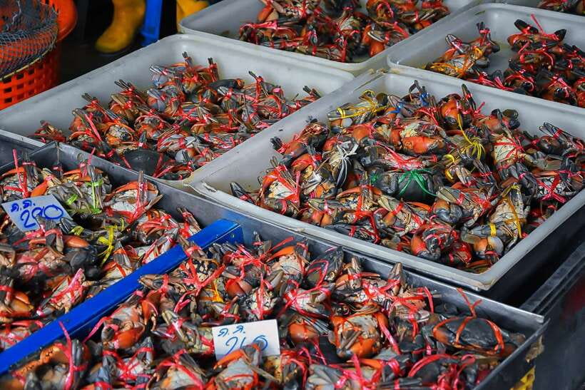Bangkok: Damnoen Saduak Market and Maeklong Railway Market - Should You Book It?
