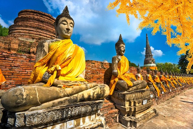 Bangkok Full Day Ayutthaya landmark Guided Tour - Wat Mahathat and the famous Buddha in the roots