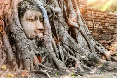 Bangkok Full Day Ayutthaya landmark Guided Tour