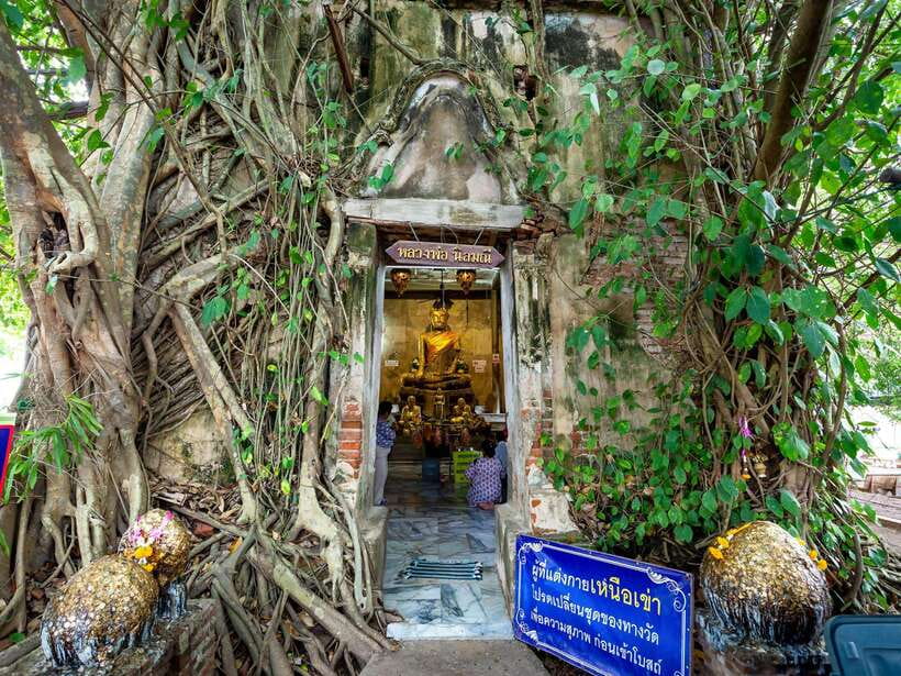 Bangkok: Maeklong Railway & Amphawa Floating Market Day Trip - Who will enjoy this outing most?