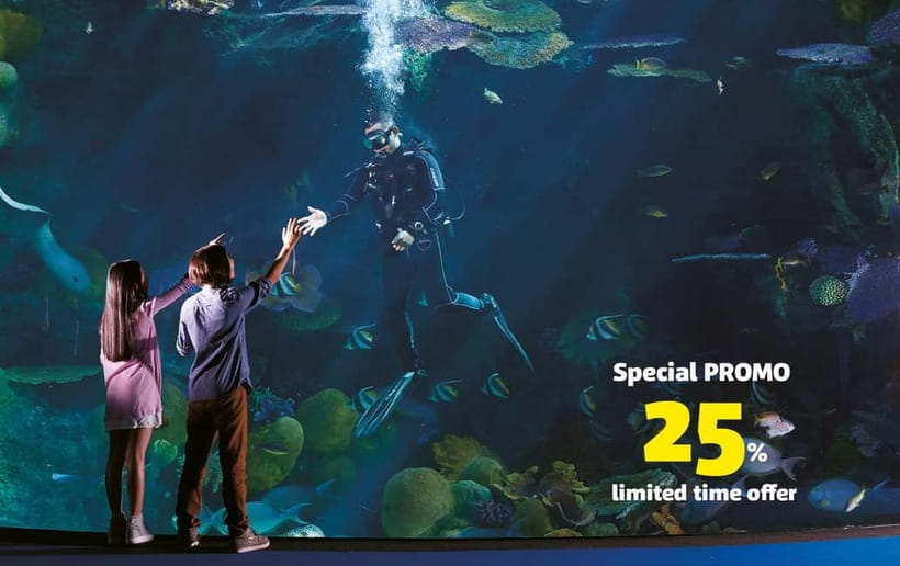 Bangkok: SEA LIFE Bangkok Ocean World Entry Ticket - Key points to know before you go