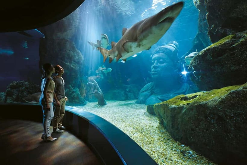 Bangkok: SEA LIFE Bangkok Ocean World Entry Ticket - The Ocean Tunnel gives the visit its main wow moment