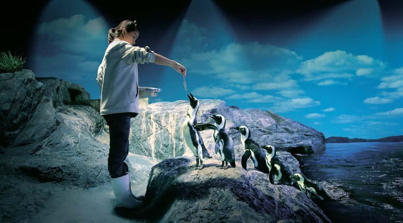 Bangkok: SEA LIFE Bangkok Ocean World Entry Ticket - Gentoo penguins and otters bring the strongest family appeal