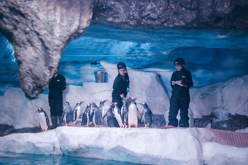 Bangkok: SEA LIFE Bangkok Ocean World Entry Ticket - Touch pools and the 4D cinema add variety