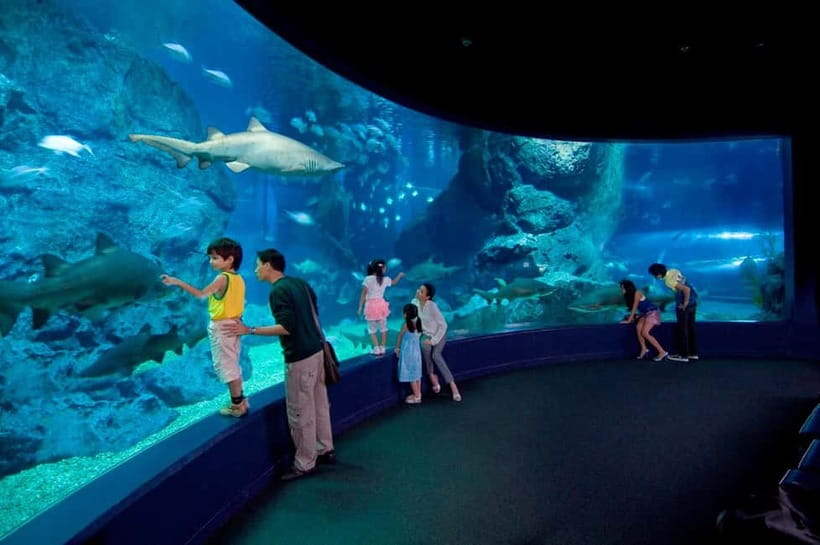 Bangkok: SEA LIFE Bangkok Ocean World Entry Ticket - Should you book SEA LIFE Bangkok Ocean World?