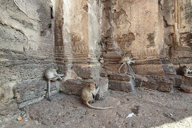 Bangkok to Ayutthaya Lopburi Monkey Temple, Largest Buddha Tour - Lopburi’s monkeys and Phra Prang Sam Yot
