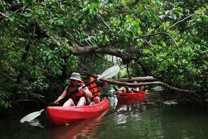 Bangkok Tour by Boat and Bike - Paddling the canals by canoe or kayak