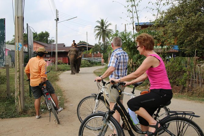 Colors of Ayutthaya Full-Day Bike Tour - The Historic City and the countryside between temples