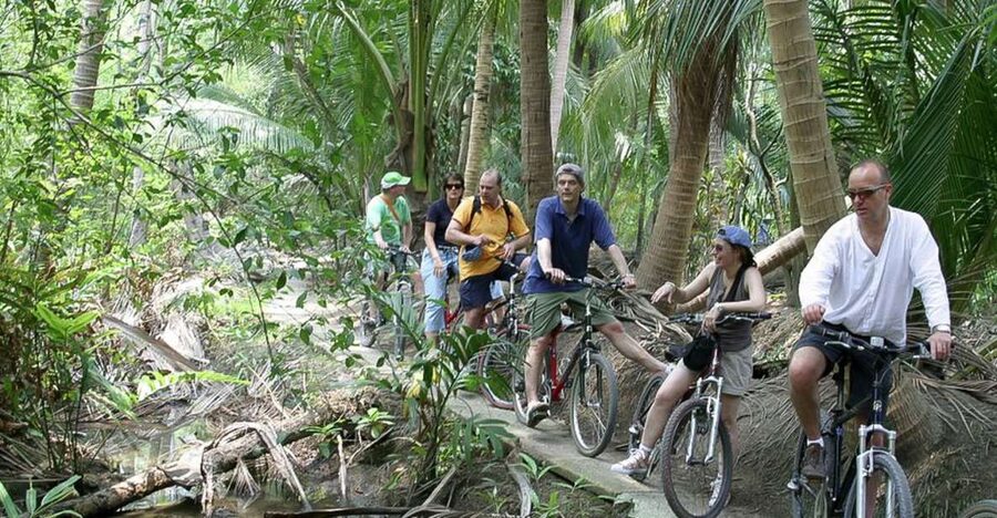 Colors Of Bangkok: 4-Hour Small Group Bike Tour - Riding the Green Lung’s Narrow Paths