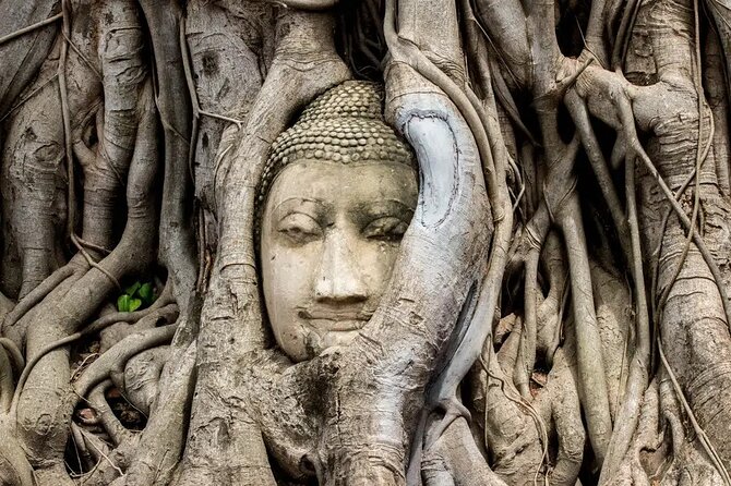 Day Tour of Ayutthaya and Bang Pa In - Reading Ayutthaya at Wat Phra Si Sanphet