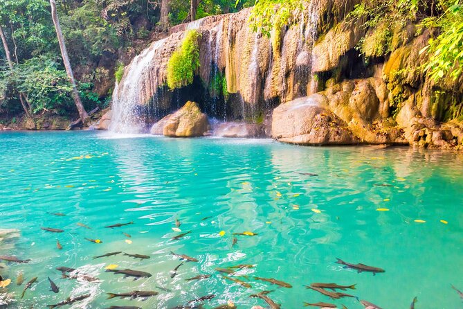 Erawan Waterfall and Elephant Care: Private Tour to Kanchanabur - Meeting elephants at a Kanchanaburi care center