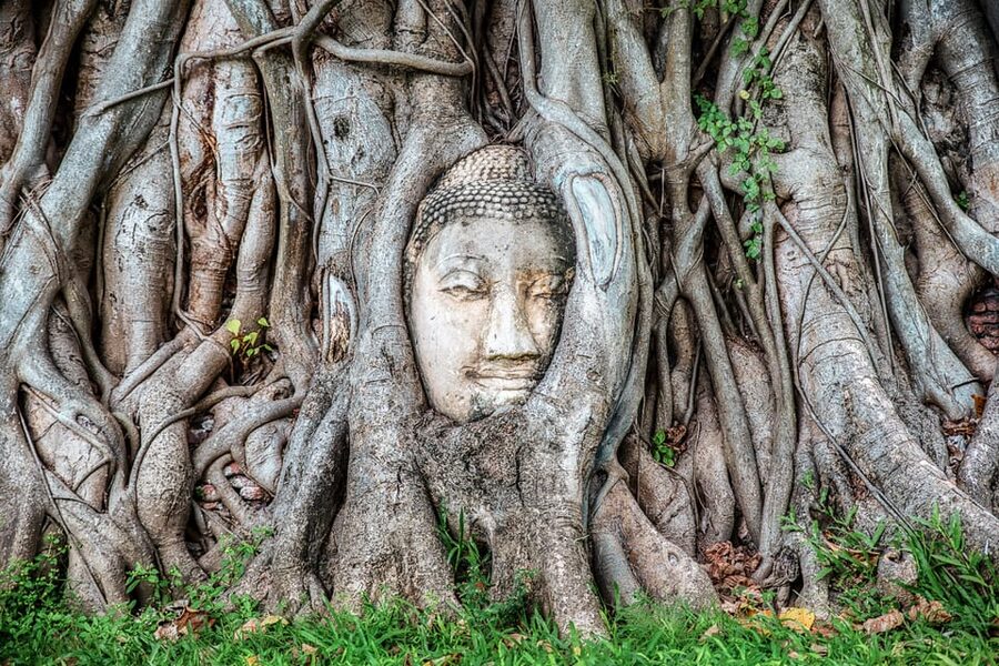 From Bangkok: Ayutthaya & Ayothaya Floating Market Day Trip - Wat Yai Chai Mongkhon and its long rows of Buddhas