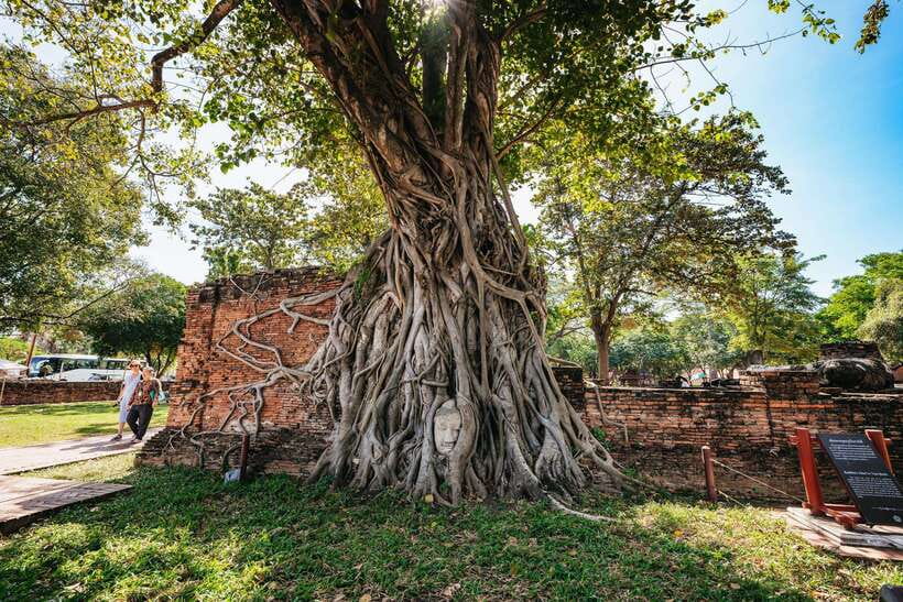 From Bangkok: Ayutthaya Temples Guided Tour with Lunch - Key points to know before you book