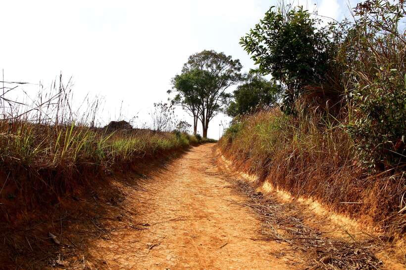 From Bangkok: Khao Yai National Park Small-Group Day Trip - Lam Ta Khong Campsite and its free-roaming deer