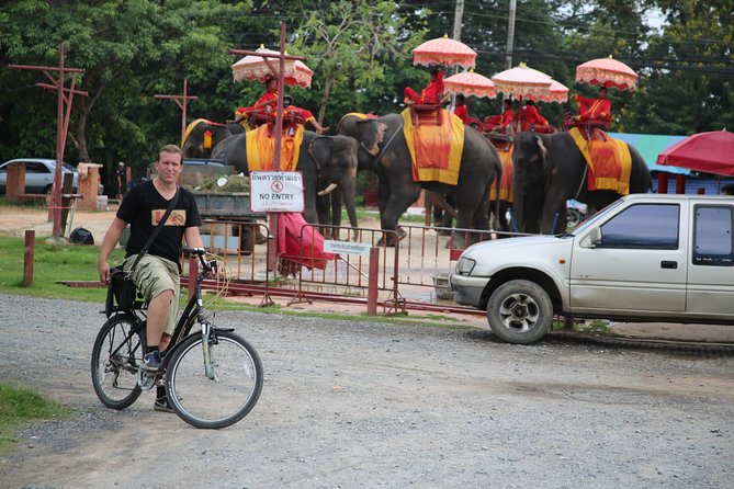 Half-Day Ayutthaya City Cultural Bike Tour - Wat Mahathat and Ayutthaya’s most famous image