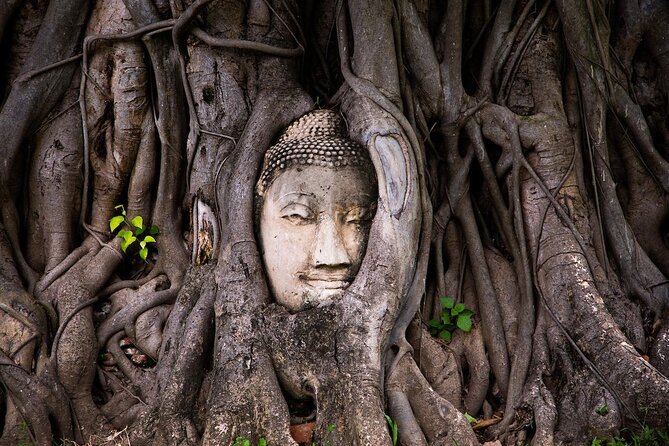 Half-Day Tour : PRIVATE Grand Palace & Temples - Key points to know before booking