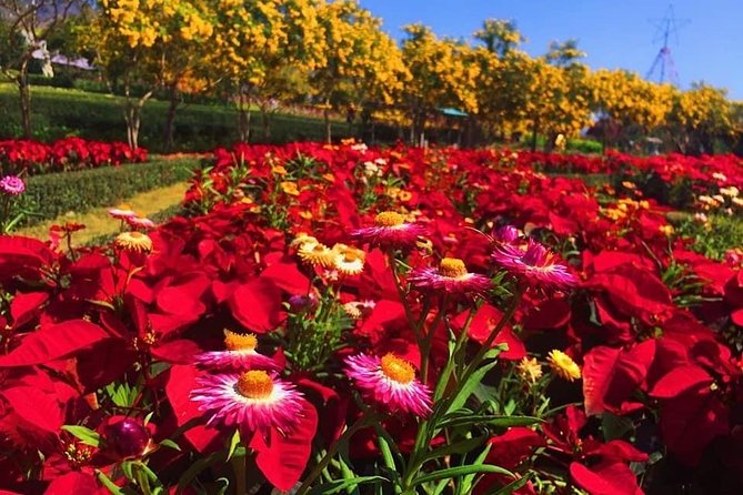 Khao Yai national Park day tour from Bangkok - What your six hours in the park can include