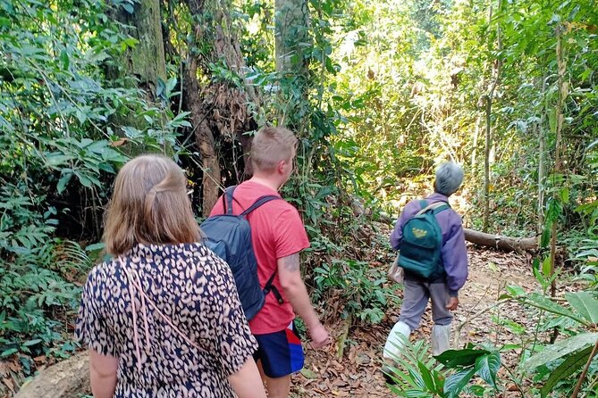 Khao Yai National Park Full Day - Haew Suwat Waterfall and the dry-season warning