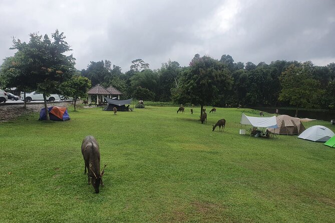 Khao Yai National Park Full Day - What to pack for this 11-hour day