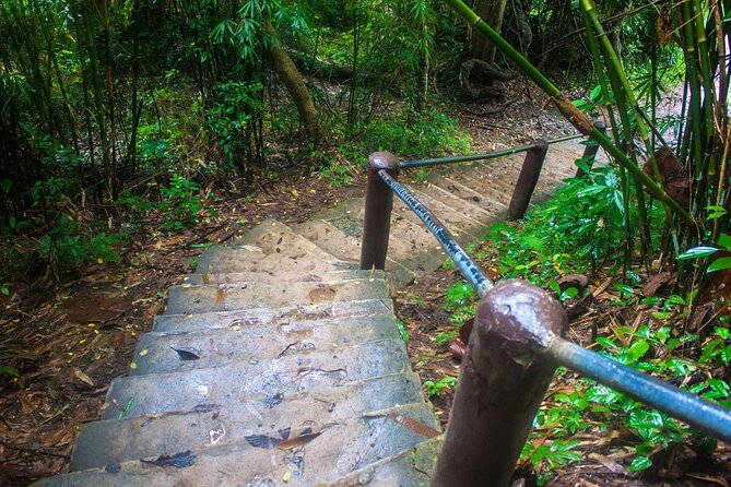 Khao Yai National Park Full-Day From Bangkok - Including Ticket - Lunch is simple, local, and on your own bill