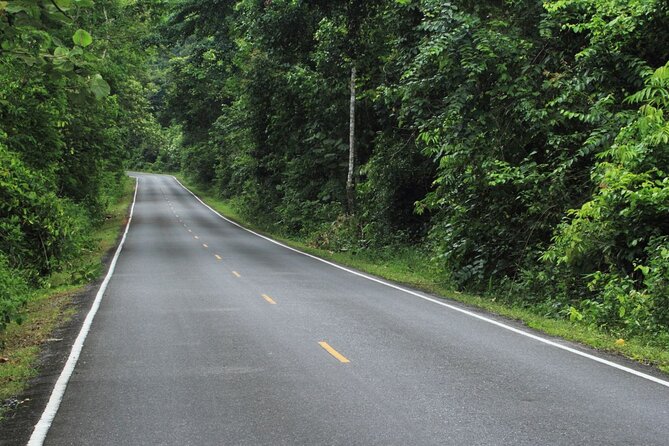 Khao Yai National Park Full-Day From Bangkok - Including Ticket - What the $78.27 price really buys you