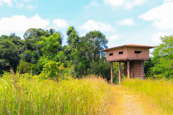 Khao Yai National Park Full Day - Trail No. 3, the Nong Phak Chi Nature Trail