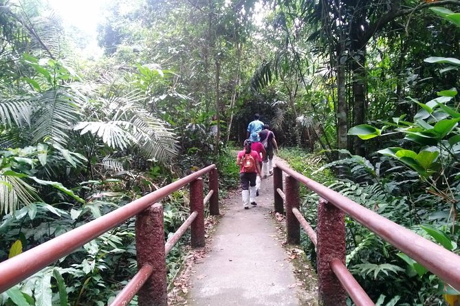 Khao Yai National Park Hiking Day Tour: Haew Narok and Haew Suwat - Sai Sorn Reservoir, a short wildlife pause