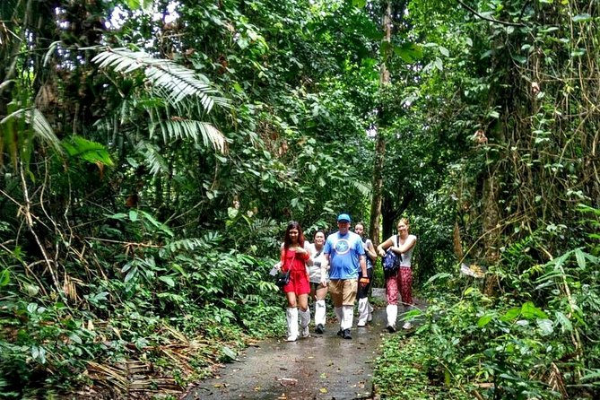 Khao Yai National Park Hiking Day Tour: Haew Narok and Haew Suwat - What the $185.74 price includes
