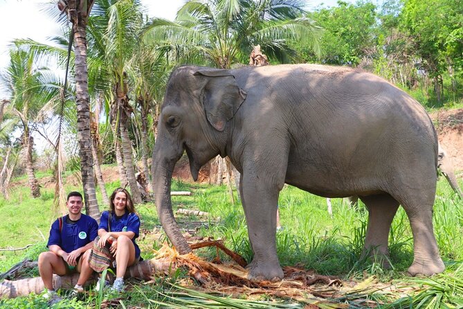 Living Green Elephant Sanctuary Tour from Bangkok and Pattaya - Meeting the elephants at Khao Kheow