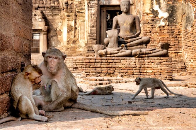 Lopburi Monkey Temple & Ayutthaya Old City Tour From Bangkok - A two-city day with a wonderfully strange opening