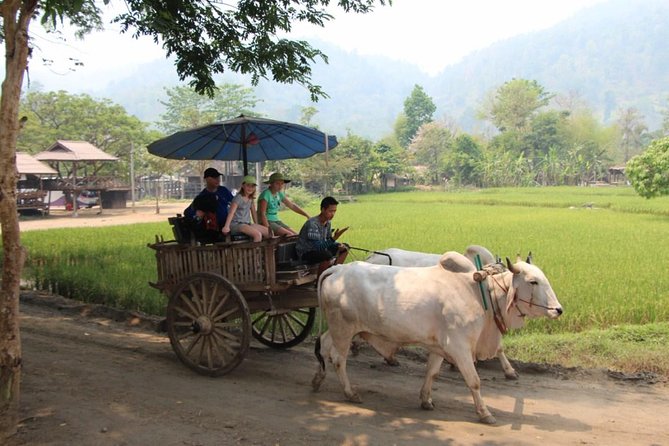 Nakhon Nayok adventure full day trip with lunch - Khun Dan Dam and the Nakhon Nayok River