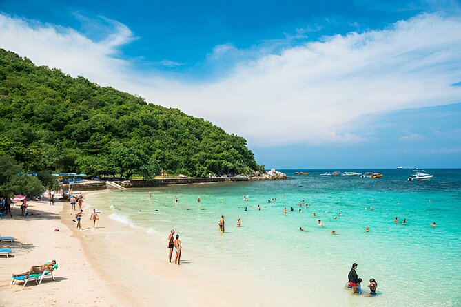 Pattaya Private Day Tour from Bangkok or Pattaya - Nong Nooch’s themed gardens and performances