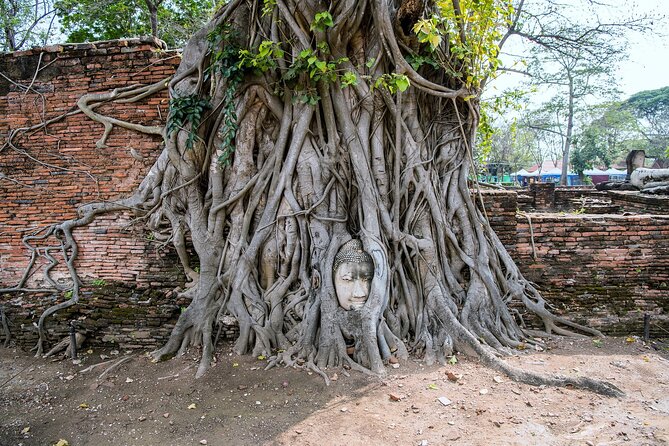 Private Ayutthaya Day Tour from Bangkok - Wihan Phra Mongkhon Bophit and its huge bronze Buddha