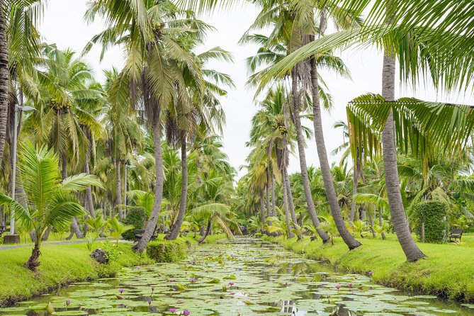 Private Tour: Floating Markets and Suan Sampran Day Trip from Bangkok - Who should book this nine-hour outing