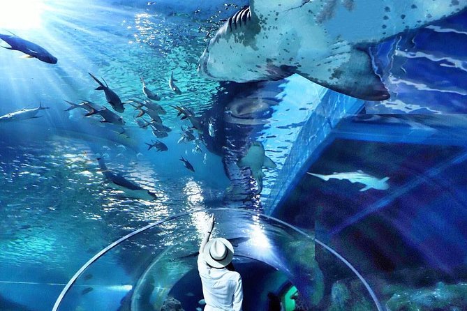 Sea Life Bangkok Ocean World Tickets - What is not included and what to skip