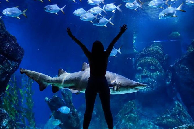 Sea Life Bangkok Ocean World Tickets - Timing, crowds, and a sensible plan