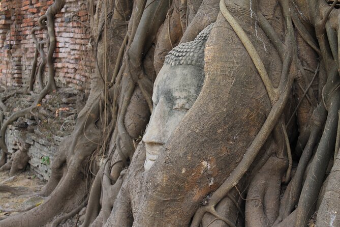 Small Group Tour to Ayutthaya Temples from Bangkok with Lunch - Group size: small in theory, variable in practice