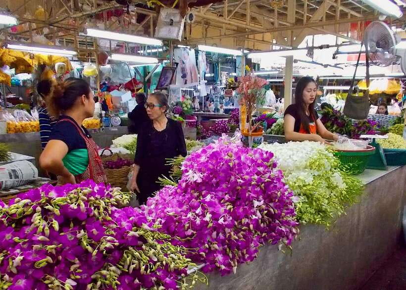 Thai culture and Bangkok local life guided bike tour - The return along the river cycle path