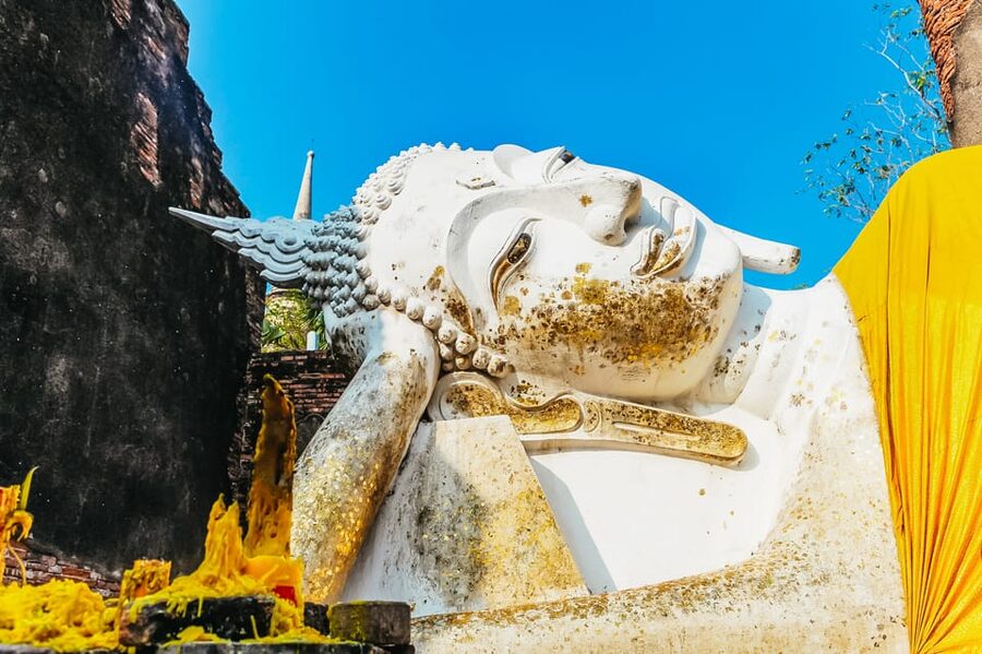 The Old Siam: Ayutthaya Temples Small Group Tour with Lunch - Wat Mahathat and the Buddha in the roots